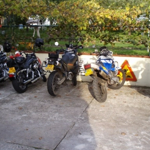 PA011574 MF.jpg