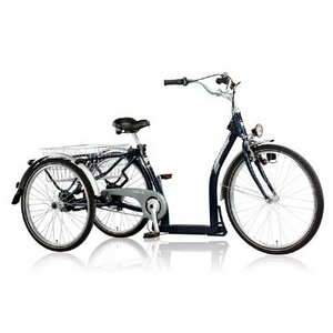 tricycle_adult_pfiff.jpg