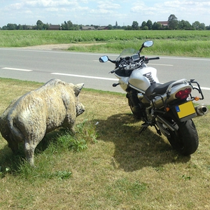 Foto 1 (4.1).jpg