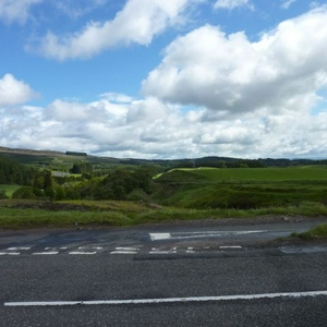 P1010523a.jpg