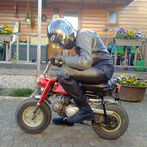 Ikke.jpg