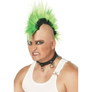 6574320_Green_Hawk.jpg