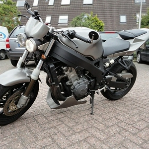 DSC01294.jpg