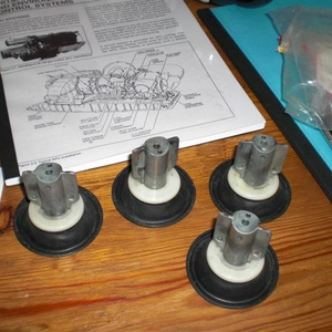 CIMG3944 (Small).JPG