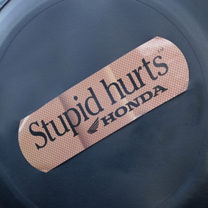 car-sticker-stupid-hurts__87284.jpg