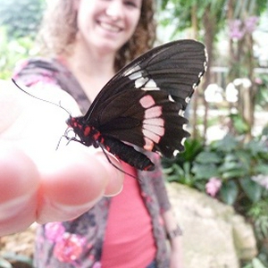 Vlinder2