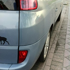 foto.JPG