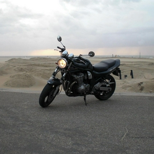 bandit 600