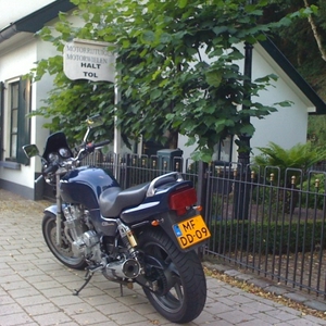 LR2011-02-12.jpg