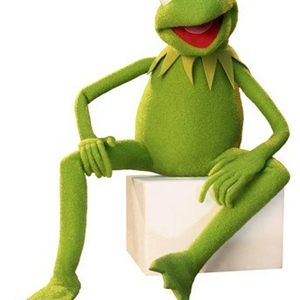kermit_6.jpg