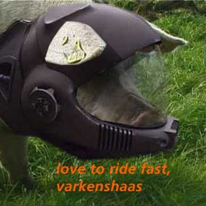 varkenshaas.jpg