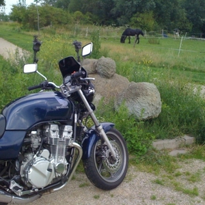 LR2011-03-20.jpg