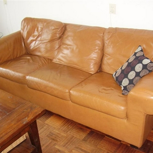 P6270172 (Medium).JPG
