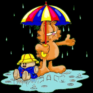 regen_11.gif