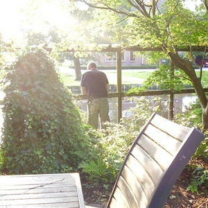 P7260218 (Medium).JPG