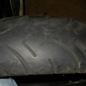 SDC10529.jpg