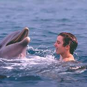Flipper hij is geweldig.jpg