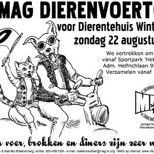 dvt2004 small.gif