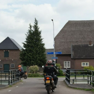 N137.JPG