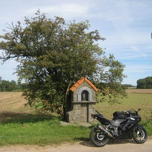 m_IMG_6269.jpg