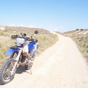 100_8004.jpg
