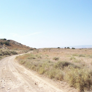 100_8005.jpg
