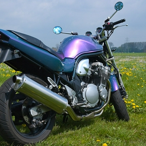 DSC_3538.jpg