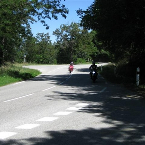 IMG_2915 (Small).JPG
