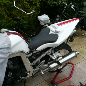 P1040130a.jpg
