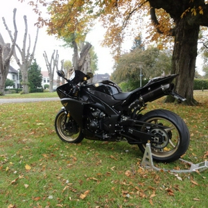 R1 2010