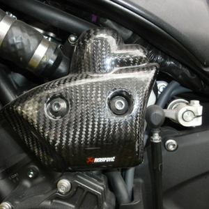 R1 2010