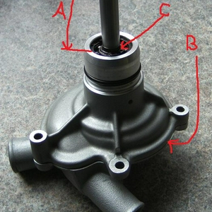 vox pomp 00230.jpg
